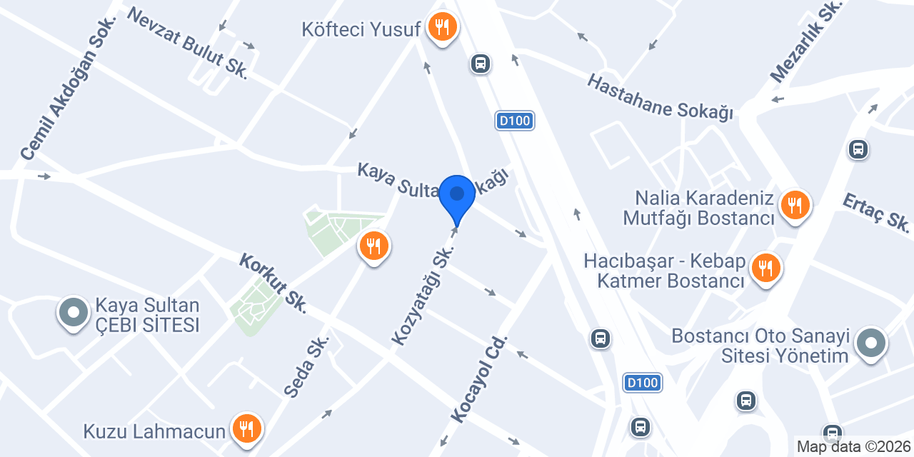 Direksiyon Akademisi konumu