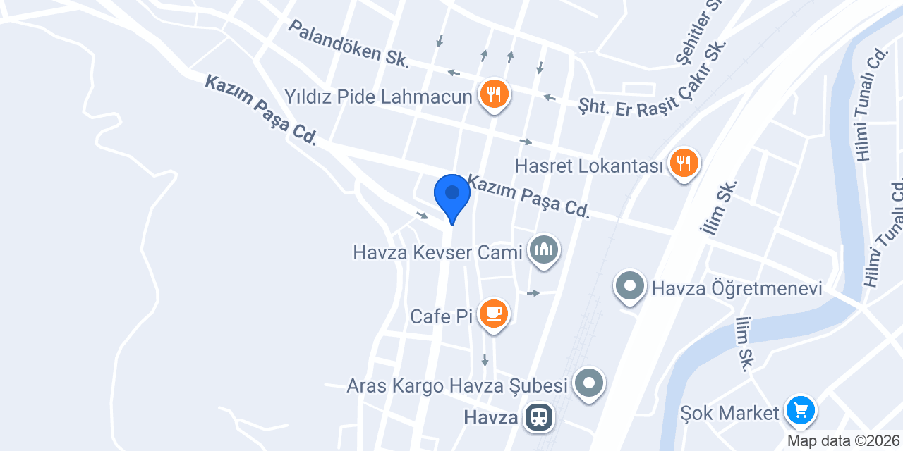 ÖZGÜL ET Havza Şb. konumu