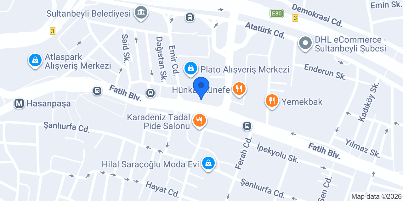 Plato Terzi konumu