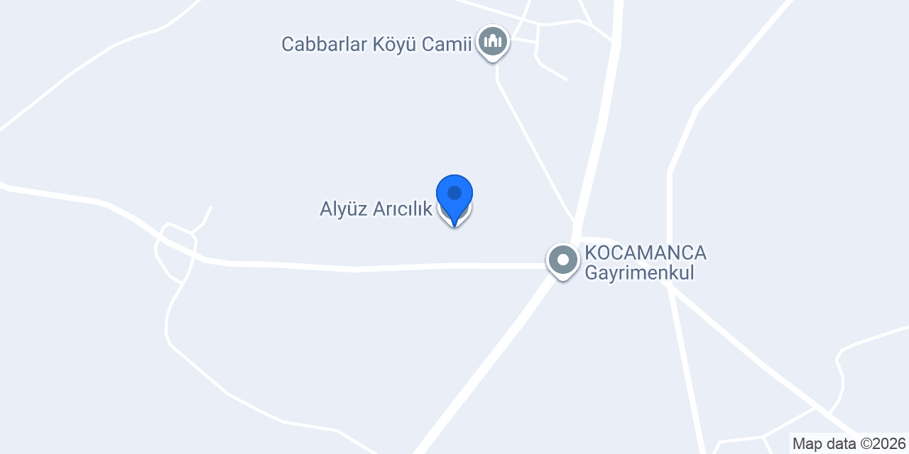Alyüz Arıcılık konumu