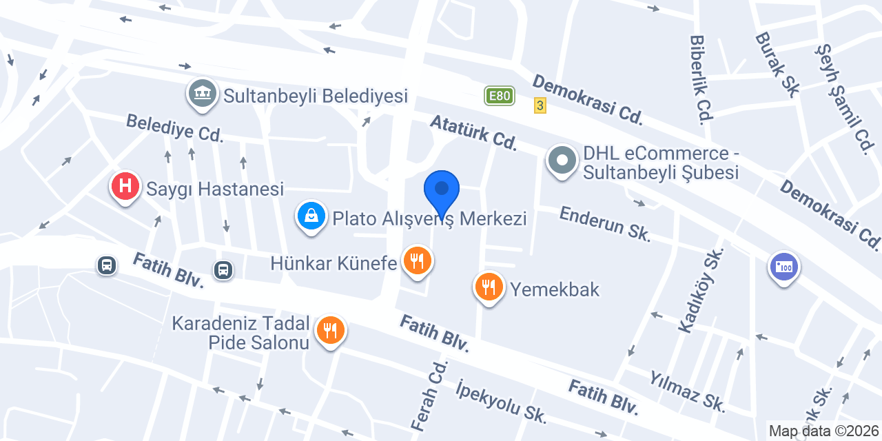 Adem Ayırkan konumu
