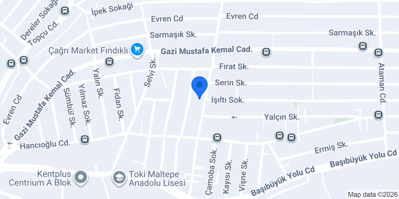 Elif dusa kabin konumu