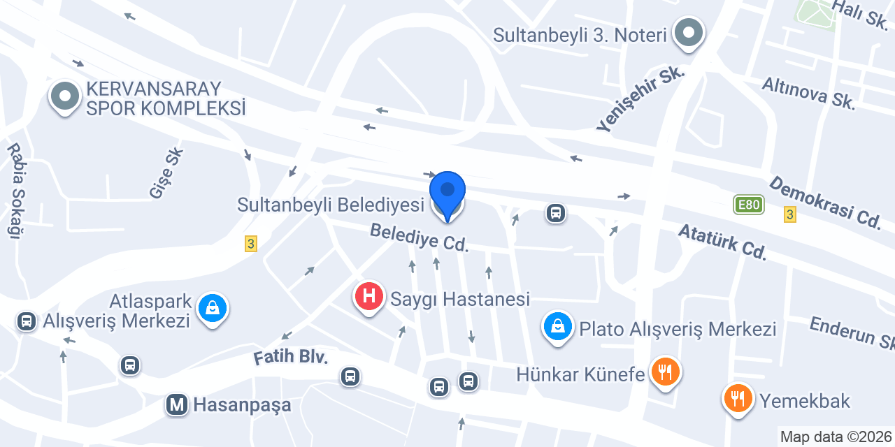 İstanbulensis konumu
