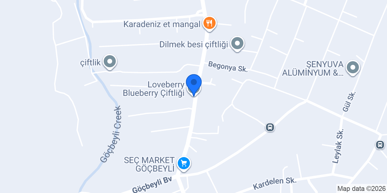 Loveberry Blueberry Çiftliği konumu