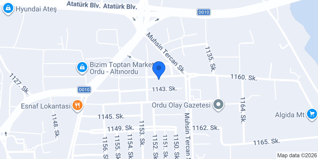 Hasan Usta Özel Servis konumu