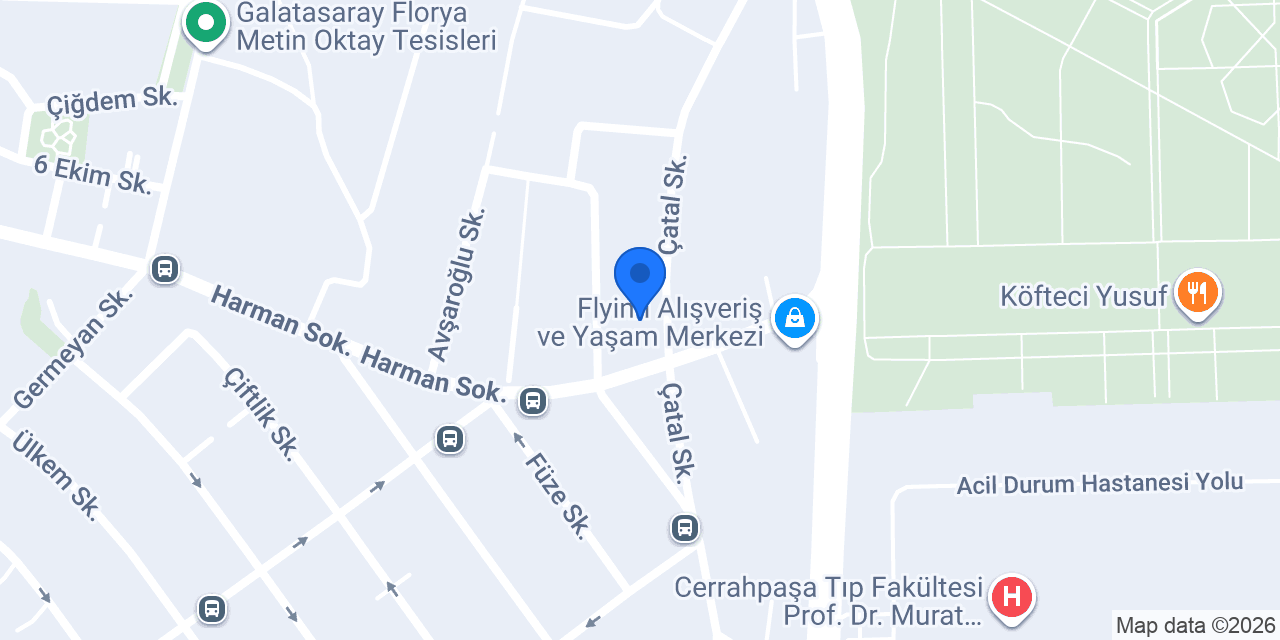 Tu lib konumu