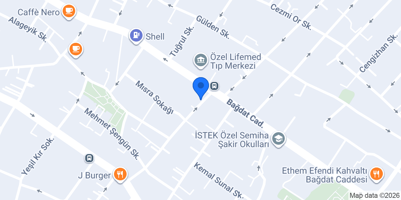 Terapist Akademisi konumu