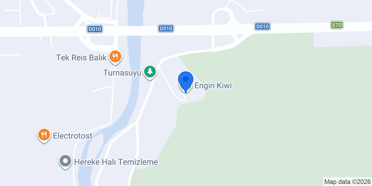Sabri Engin konumu