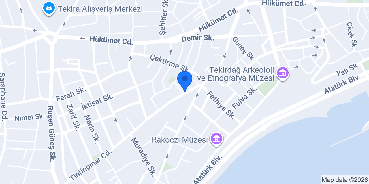 Teknik Elektronik konumu