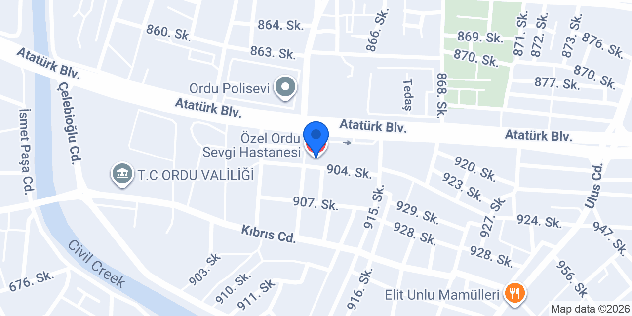Özel Ordu Sevgi Hastanesi konumu
