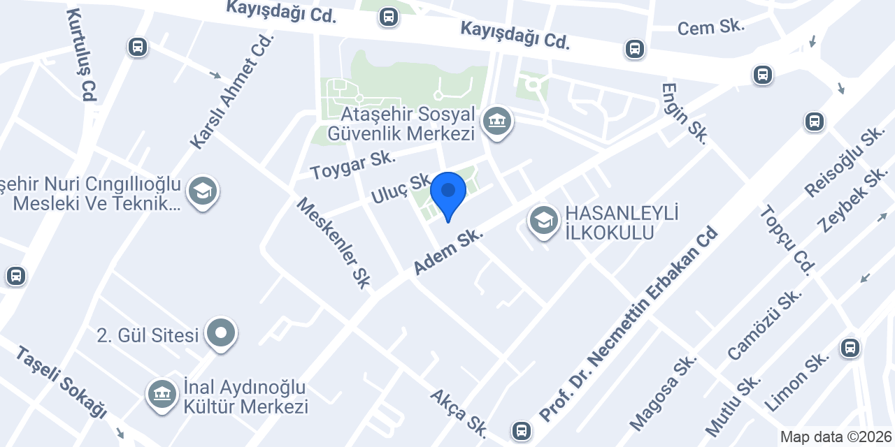 Cargoy Transportation & Logistics konumu