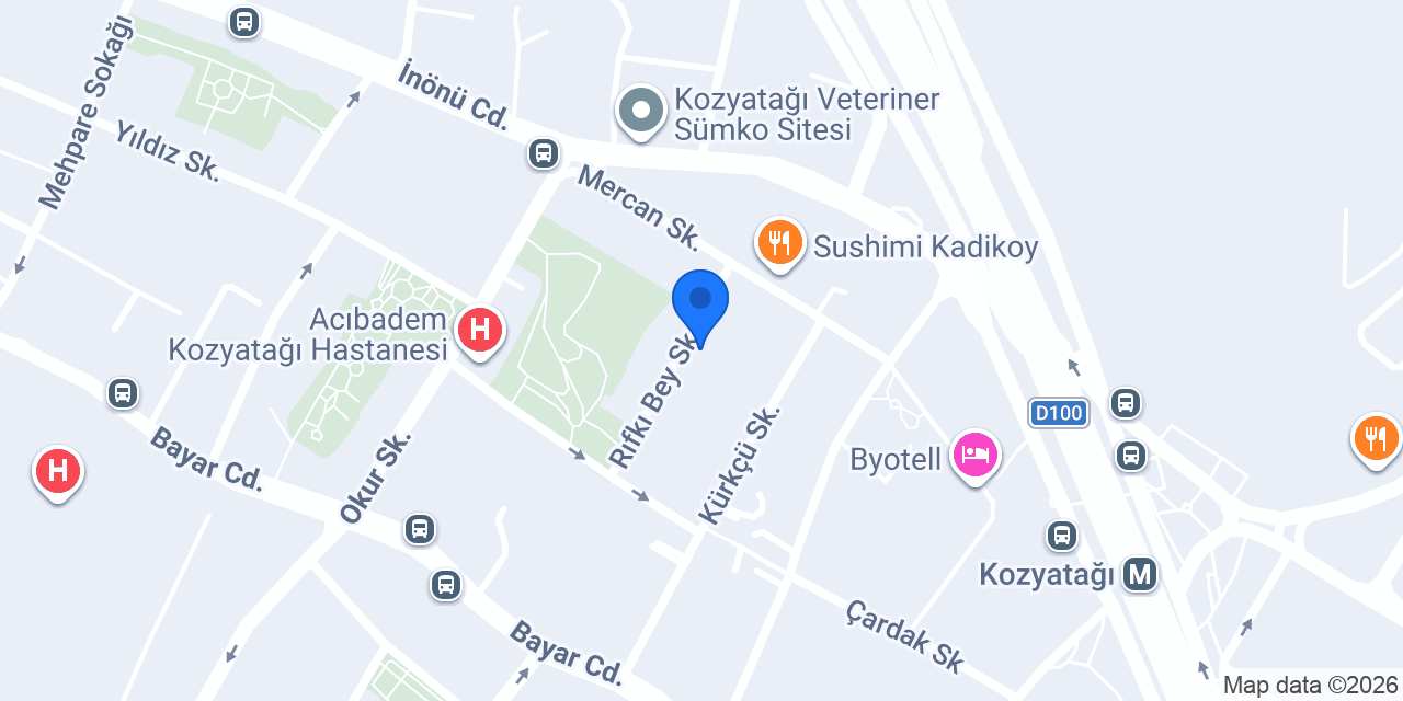 Doç. Dr. Ali Erhan Kayalar konumu