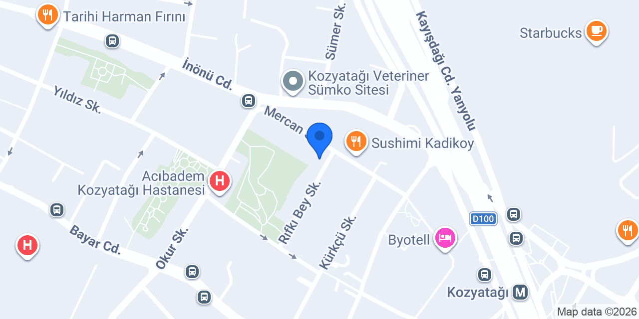Ergo Asya Sigorta konumu