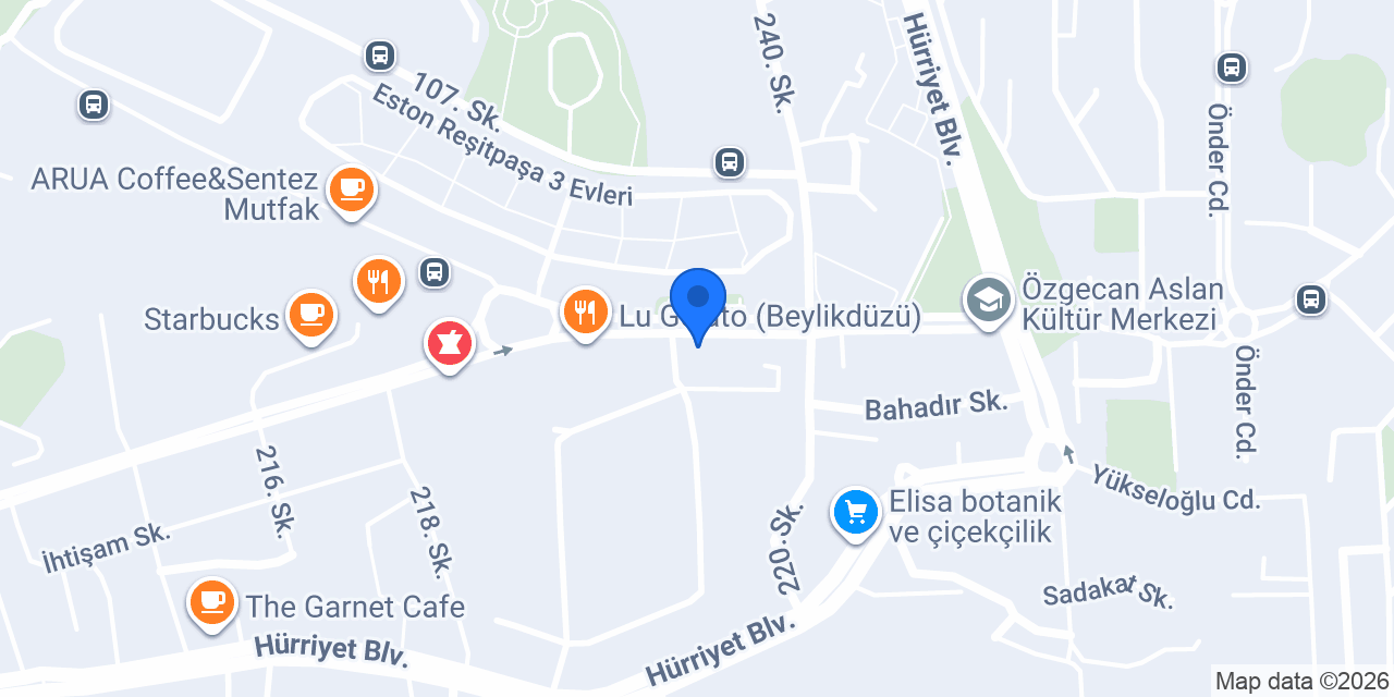 salonmek konumu