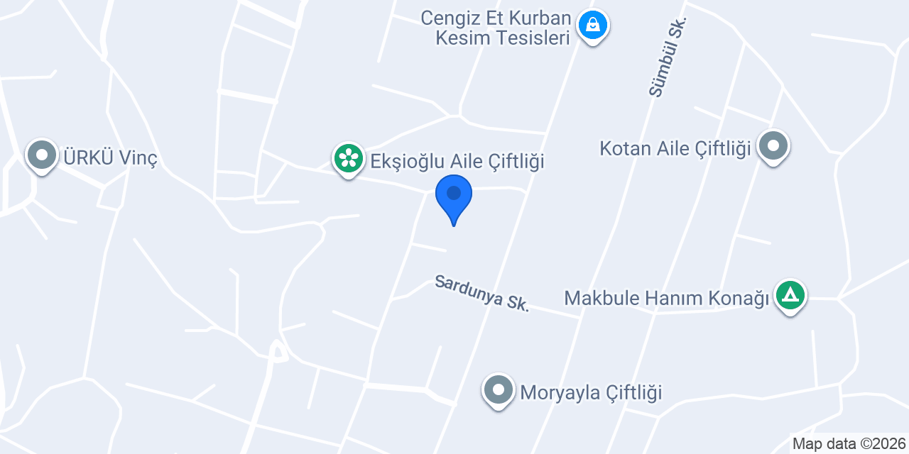 Kaya harfiyat konumu