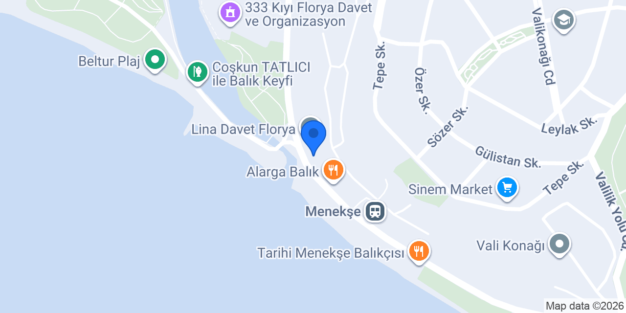 Zennup Florya konumu