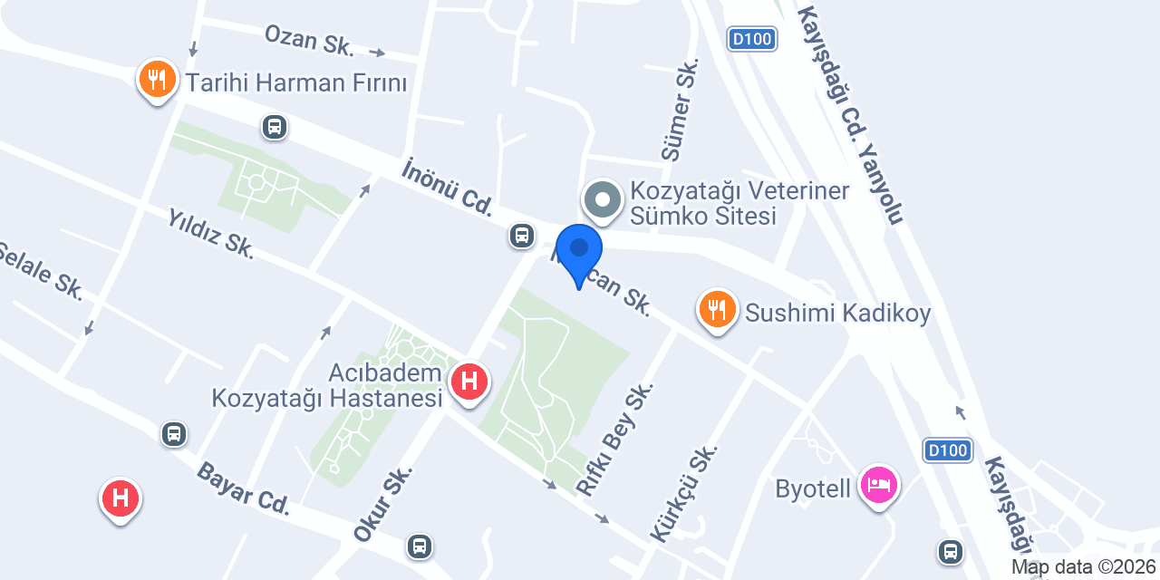 Elkan Dış Ticaret konumu