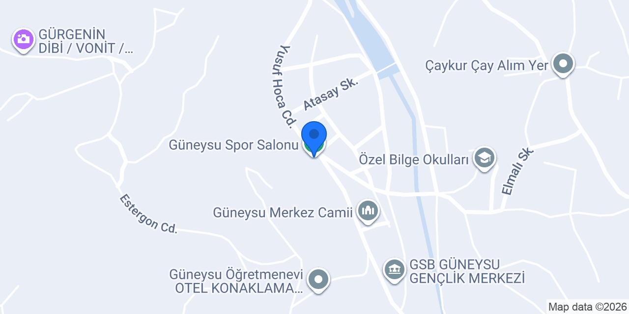 Tayyip Botanik Çiçekçilik konumu