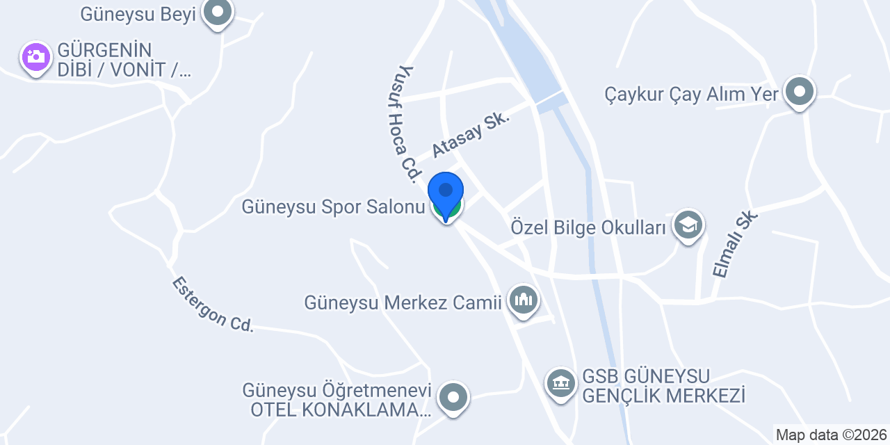 Mercan Halı Yıkama konumu