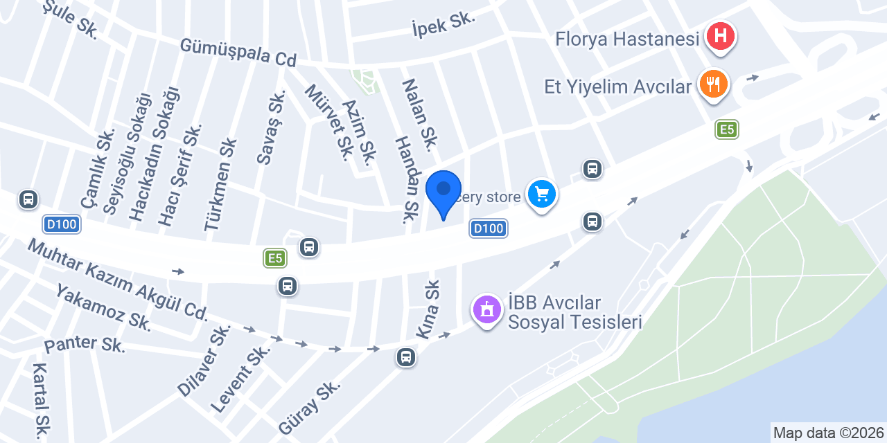 Aslan Aydınlatma konumu