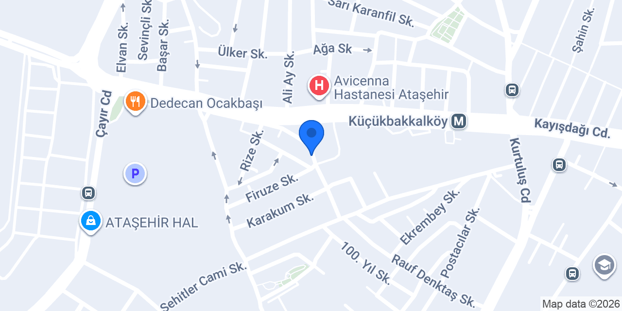 Magna Basım konumu