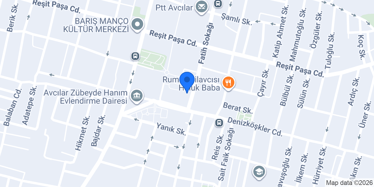 Diriliş Rent A Car konumu