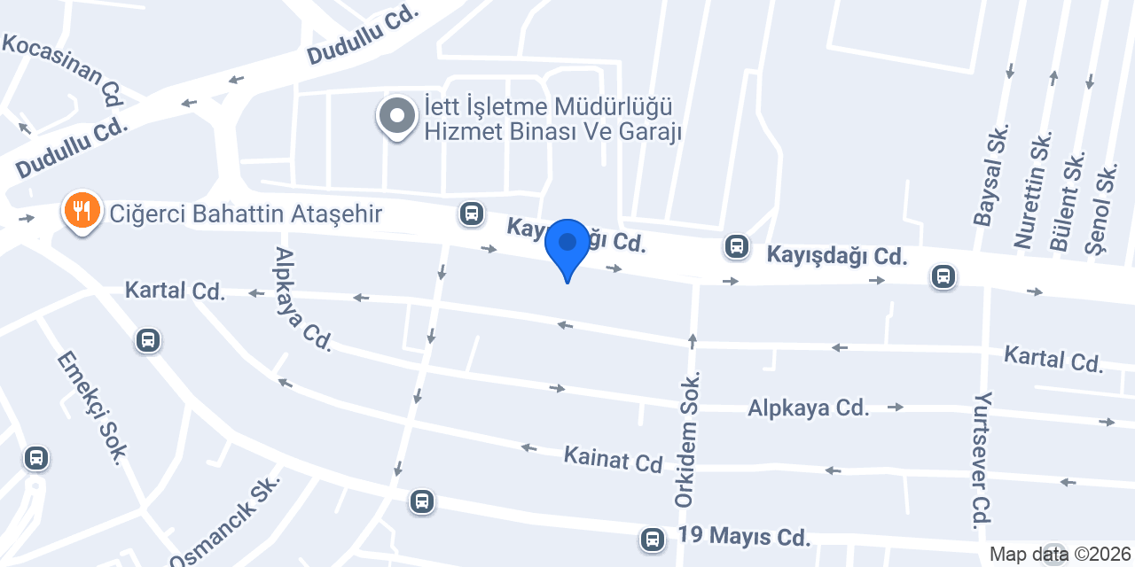 TAŞKIN GÜMRÜKLEME konumu