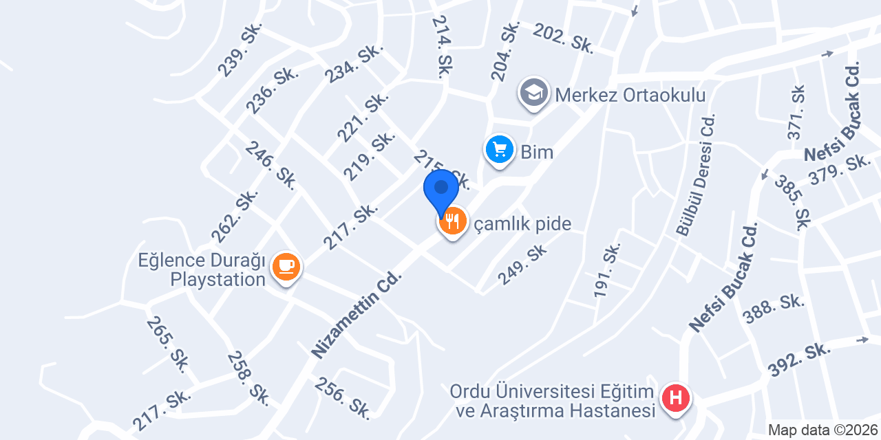 ÇAMLIK ELEKTRİK konumu