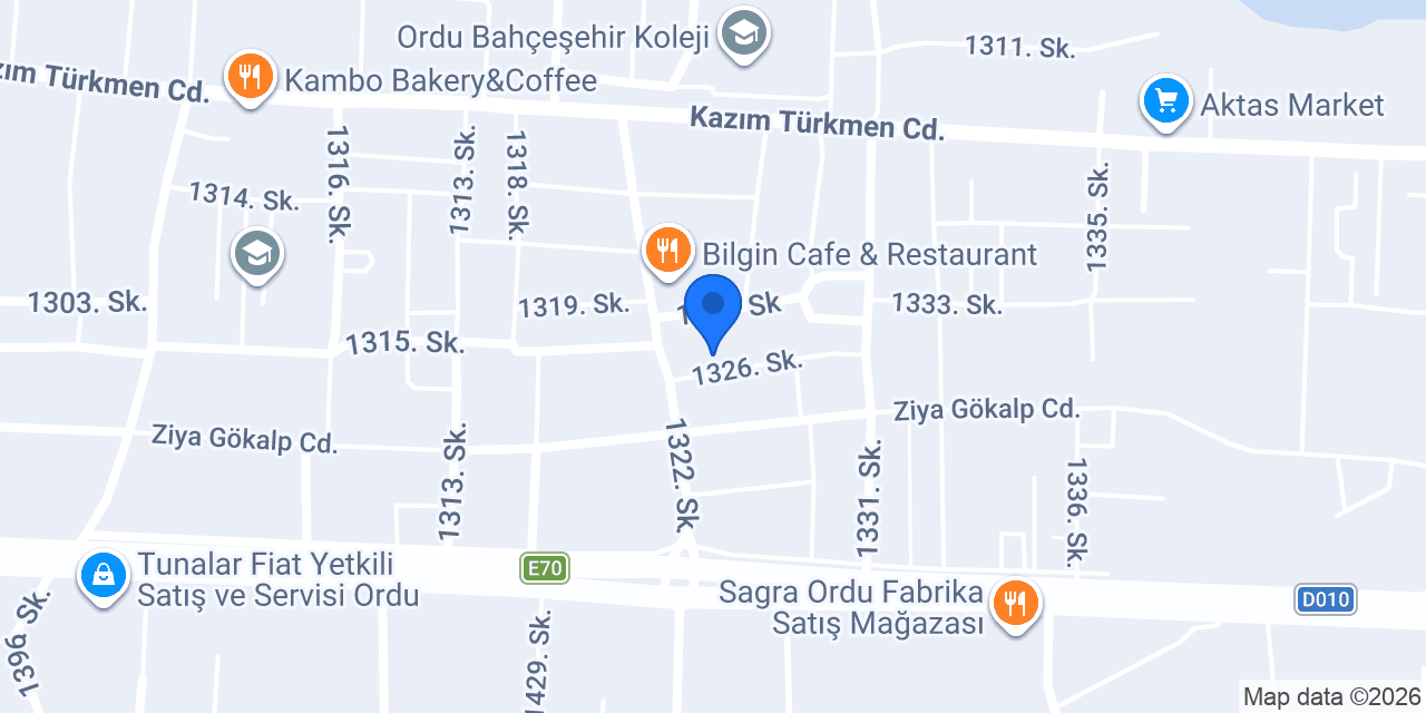 Efe Terzi Ordu konumu