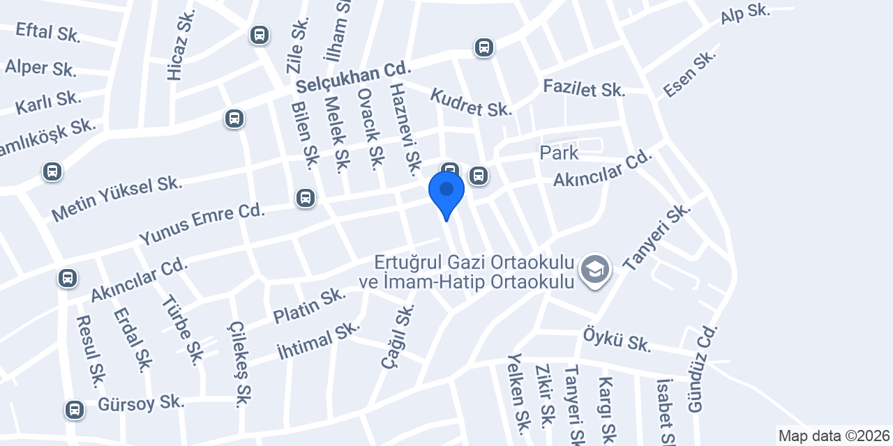 Elit sineklik konumu