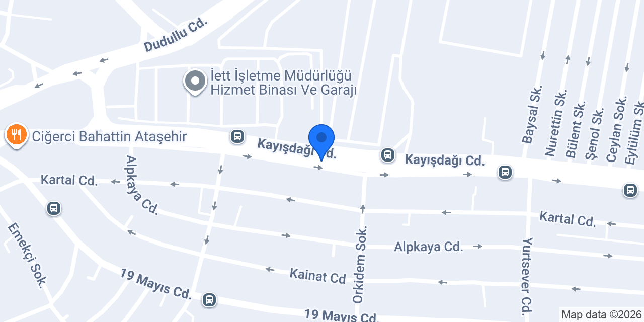 Anasayfa konumu