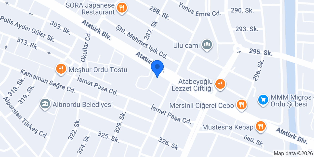 Cesur Medya konumu