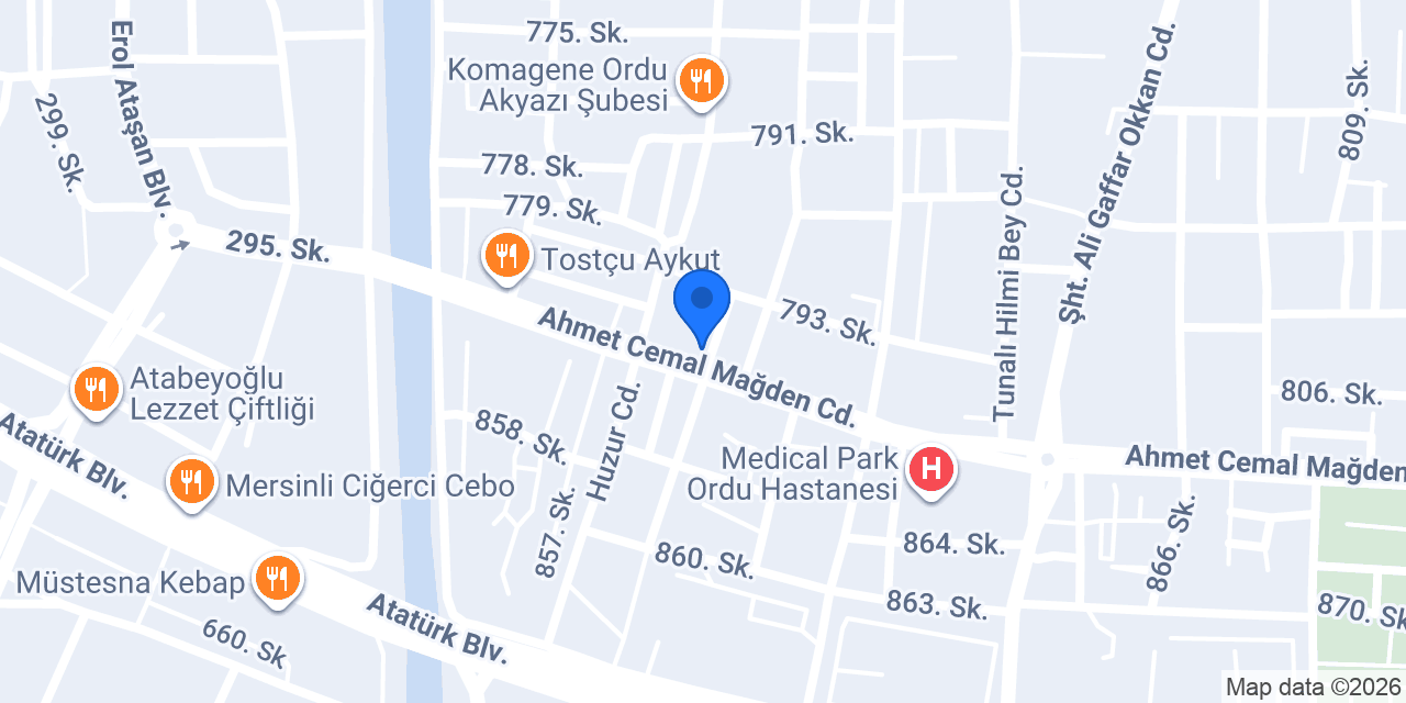 Mersin Tantuni Ordu konumu
