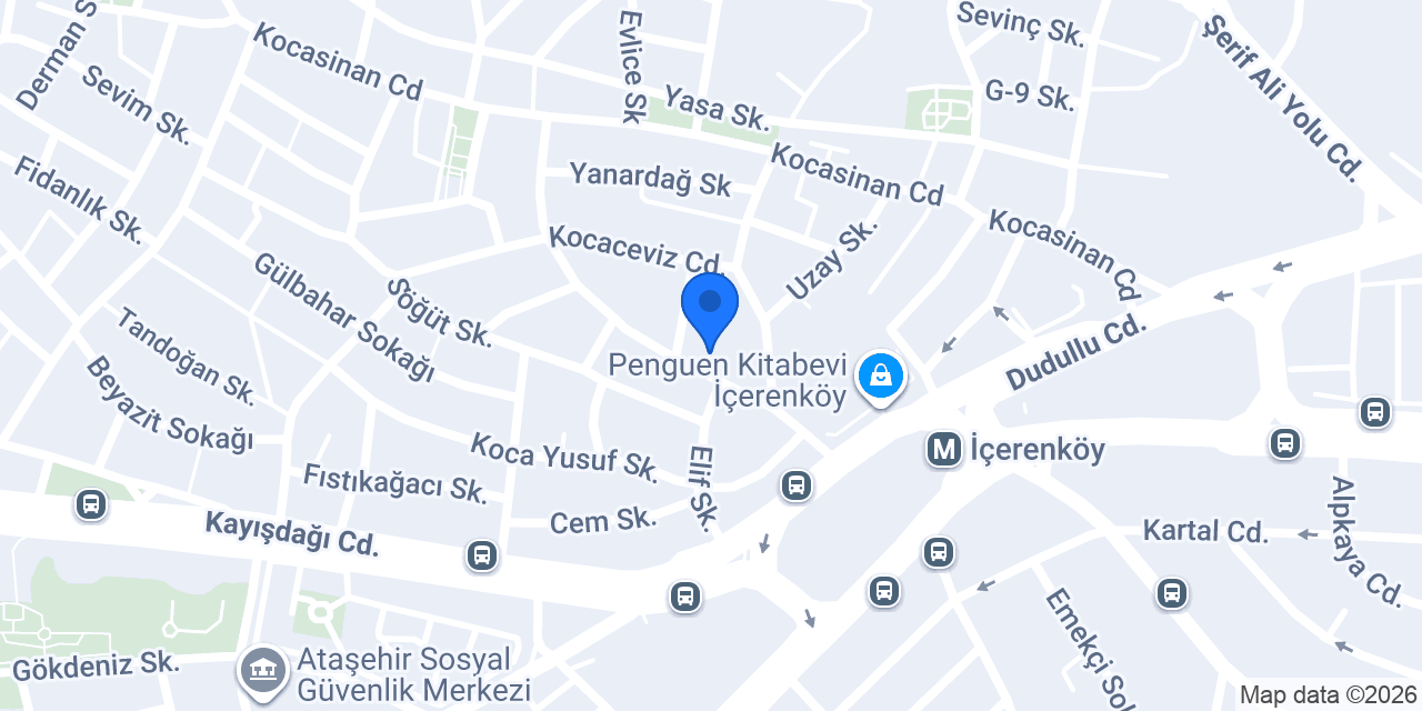 Maestro Veteriner Kliniği konumu