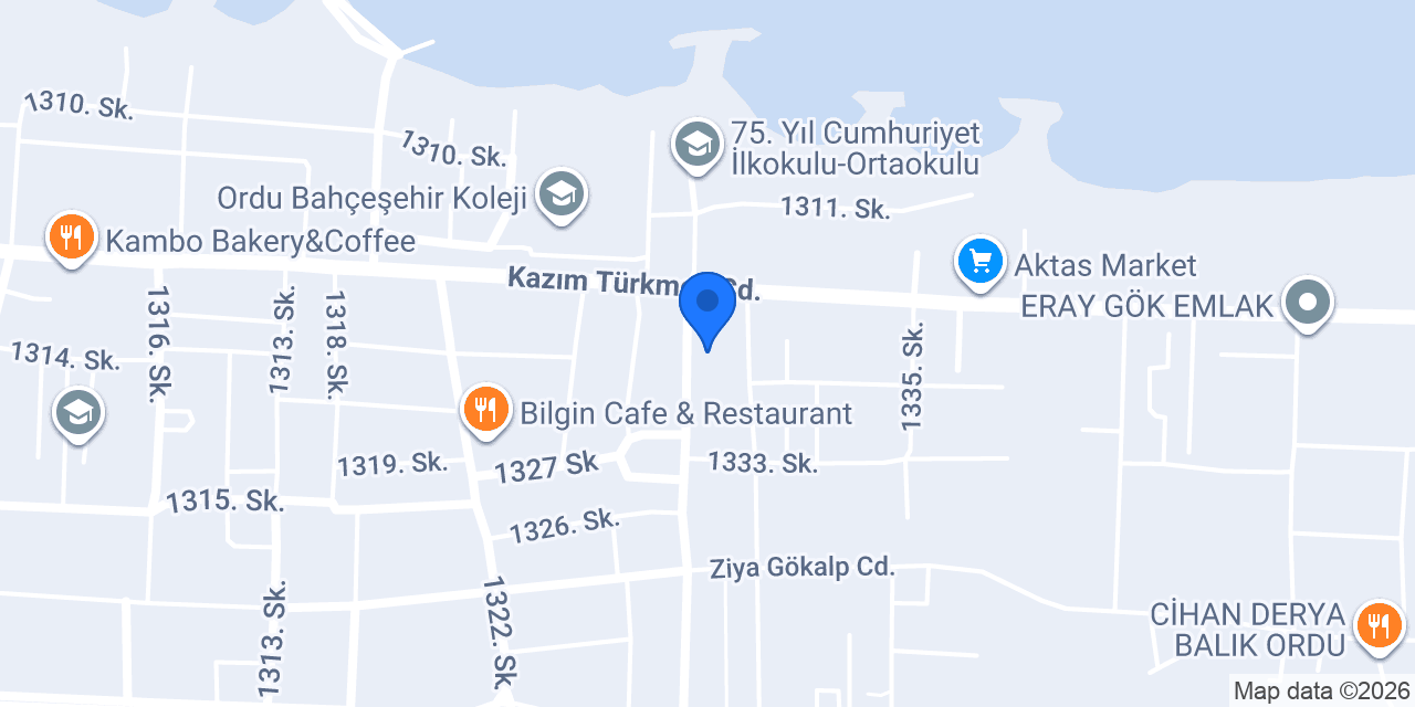 Artinmotion konumu
