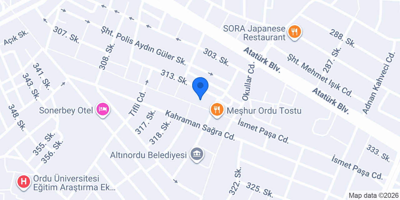 ÇINAR ELEKTRONİK konumu
