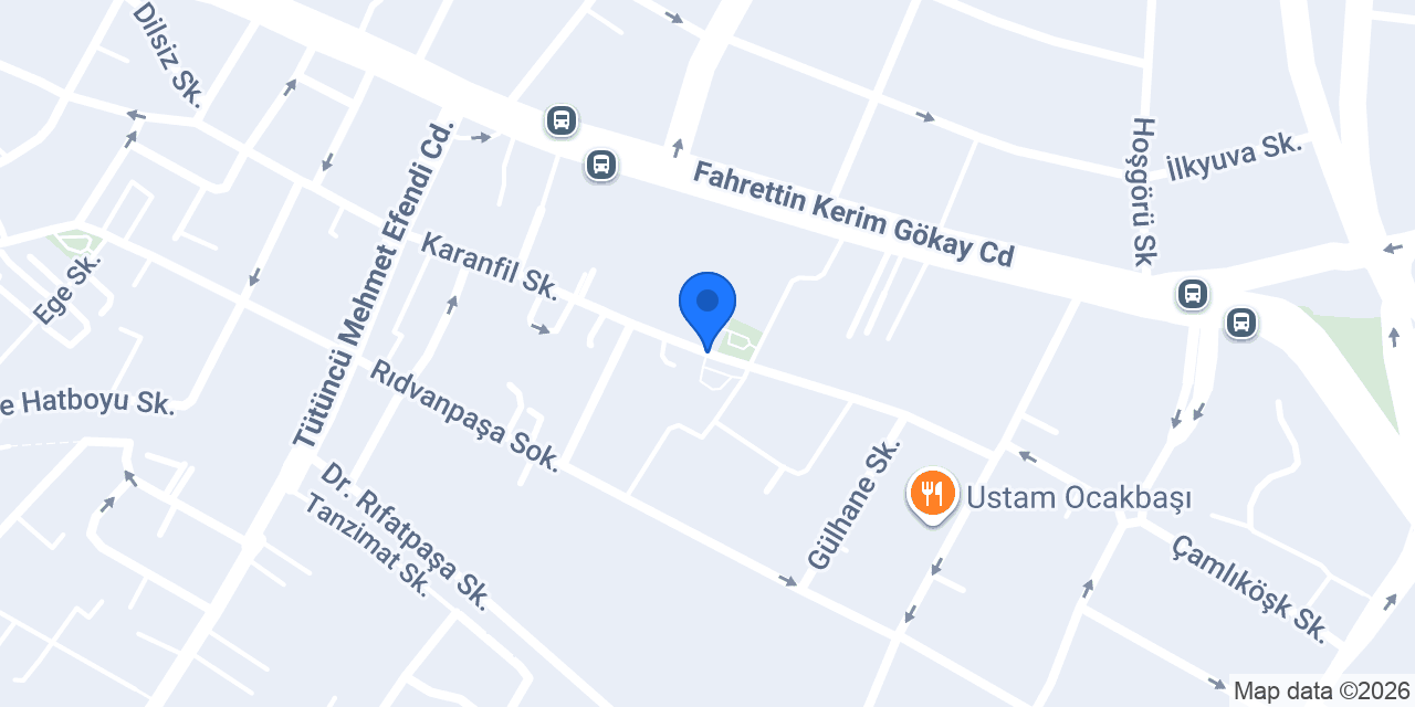 Diem Akademi konumu