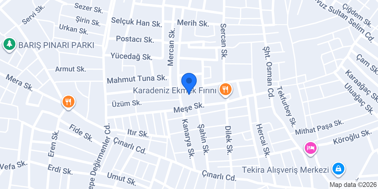 Fevzi Çakmak Ortaokulu konumu