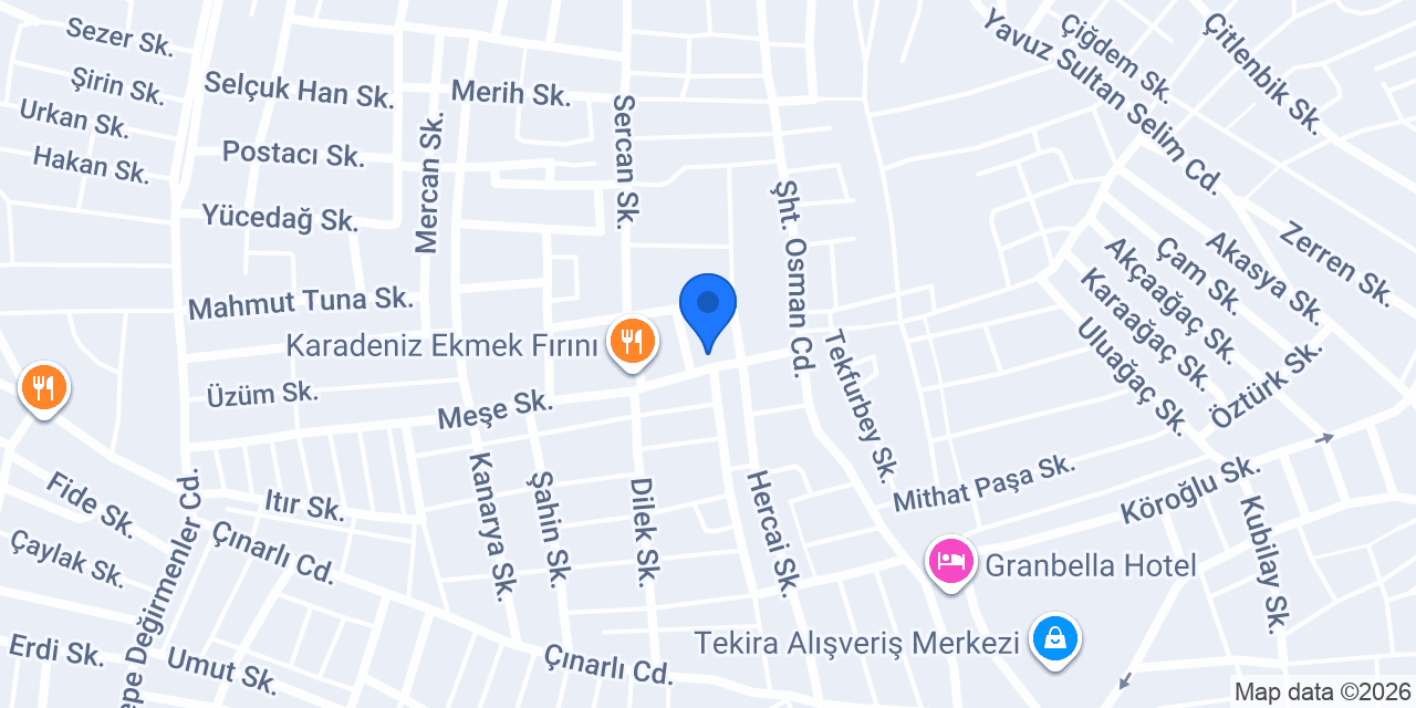 Çınarlı börek 2 konumu