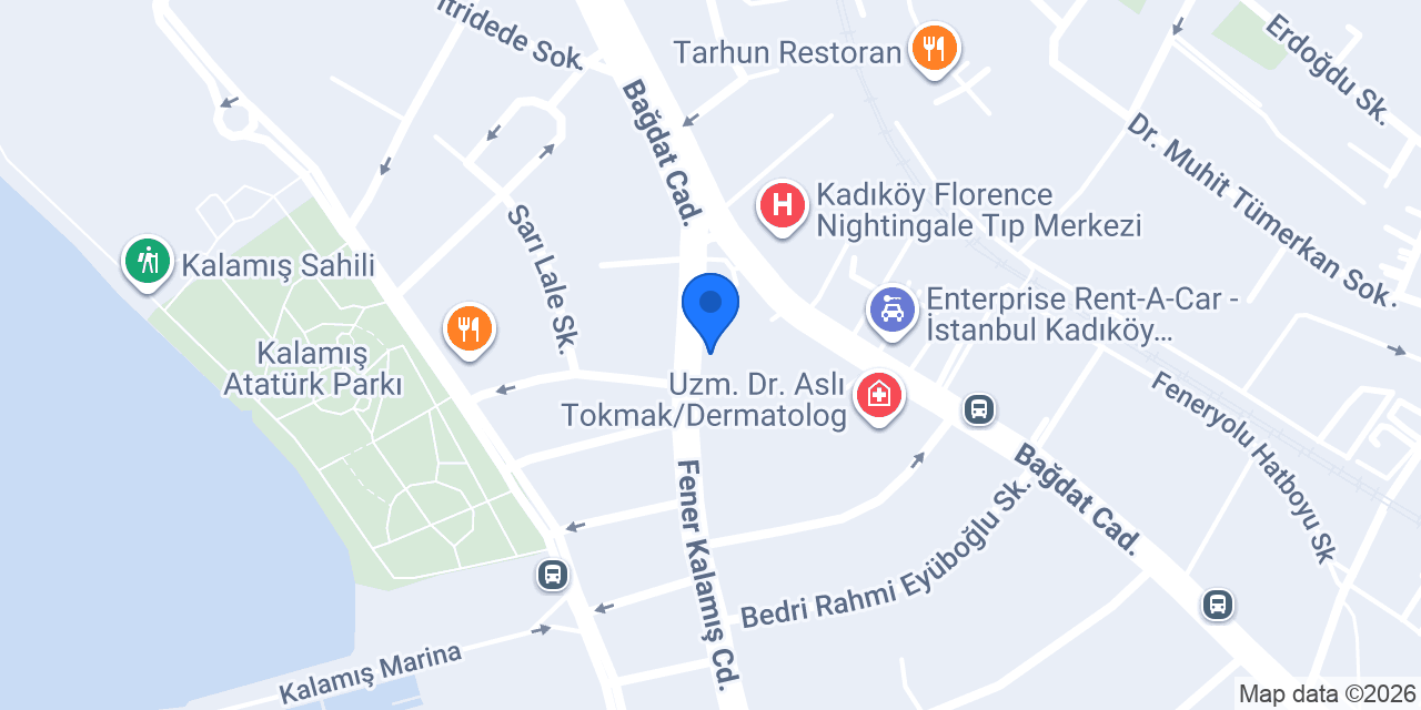 Dr. Med. Dent. Taner Dilmener konumu