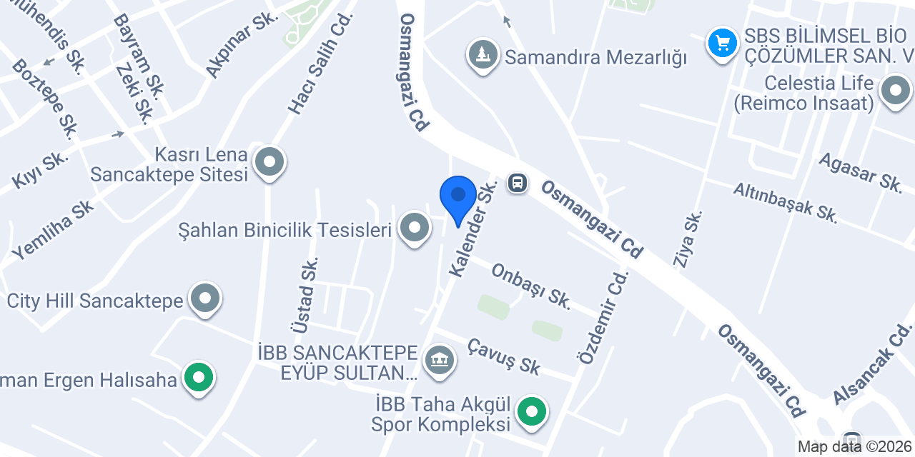 ALİS HALI YIKAMA konumu