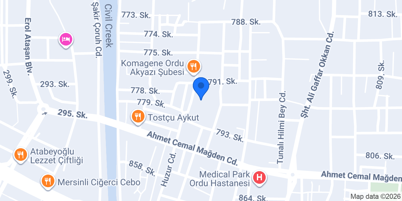 Ordu Anadolu Lisesi konumu