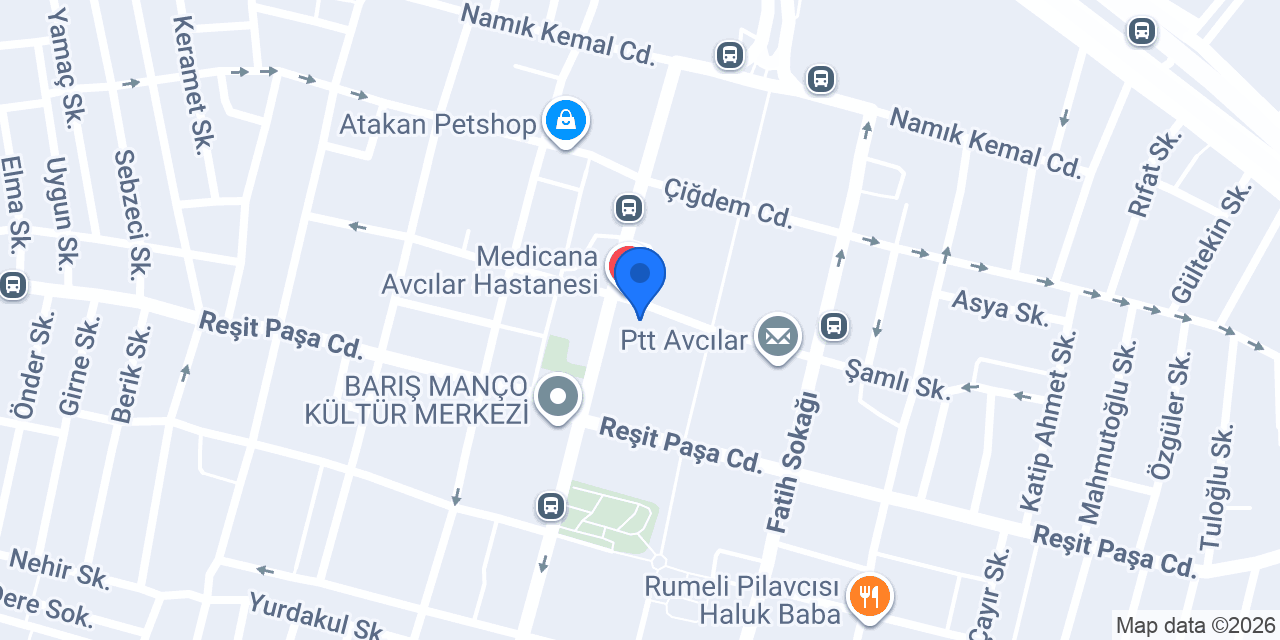 Prestij Eğitim Danışmanlık konumu