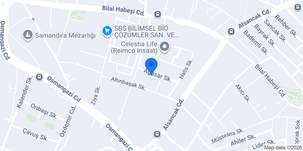ASILI konumu