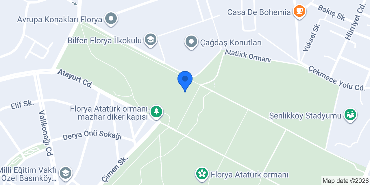 Polimeksen konumu