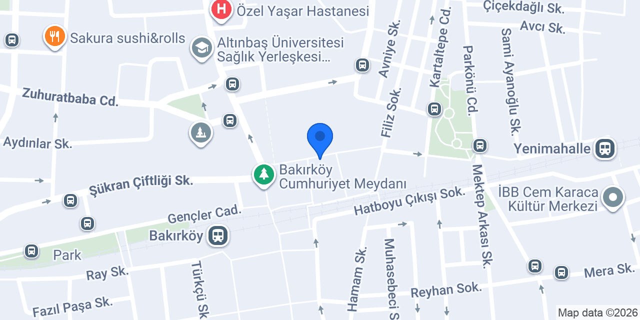 Bakırköy Helvacı Ali 1900 konumu