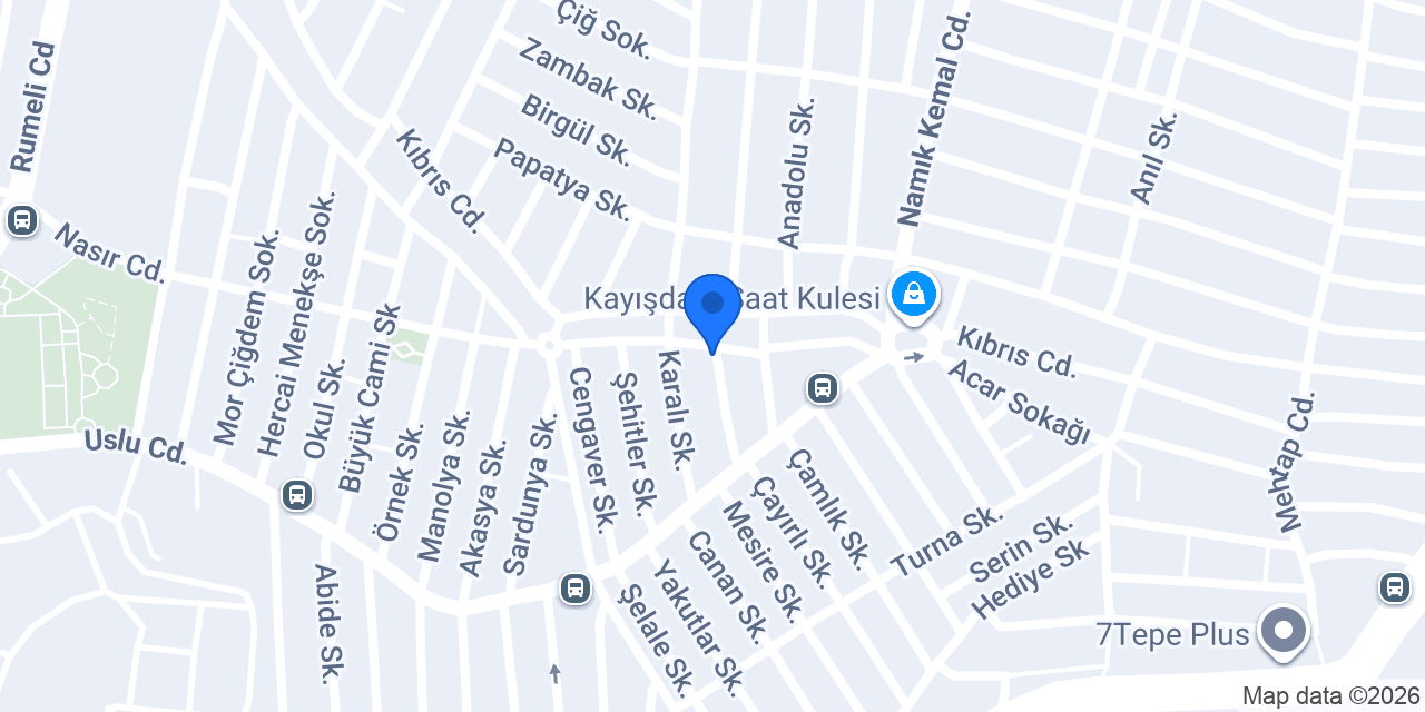 Kale Halı Yıkama konumu