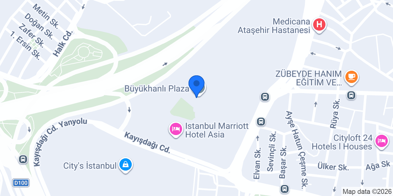 Borusan Danismanlik konumu