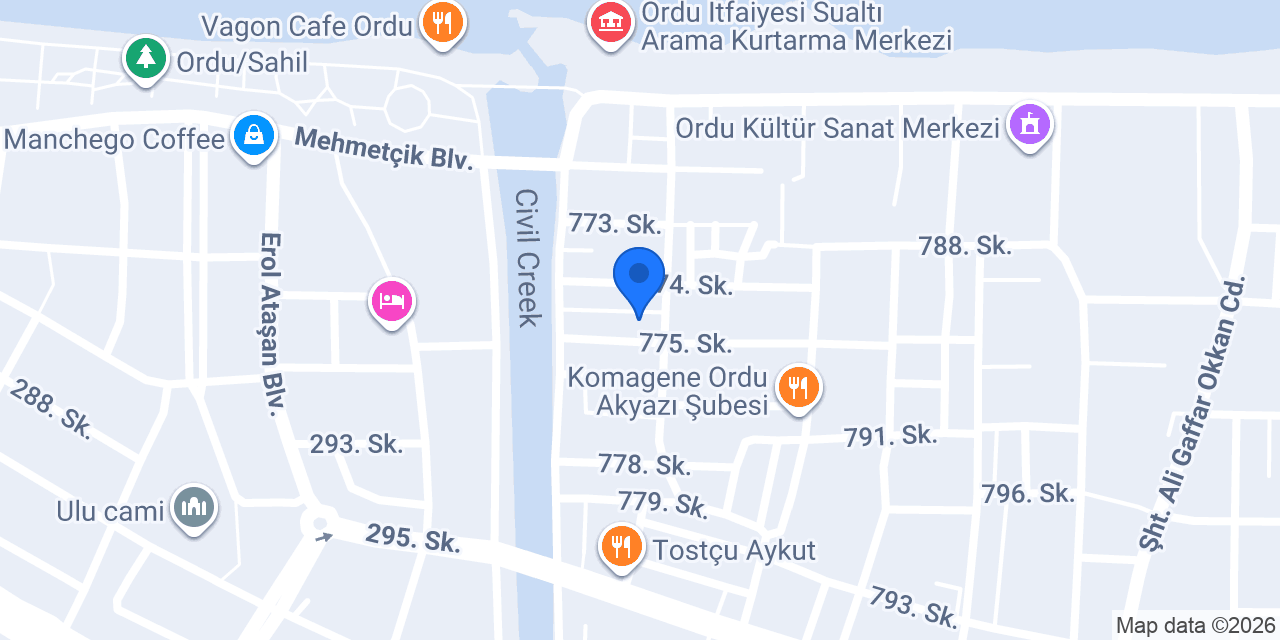 Psikolojik Danışman Elemnaz Yöndem konumu
