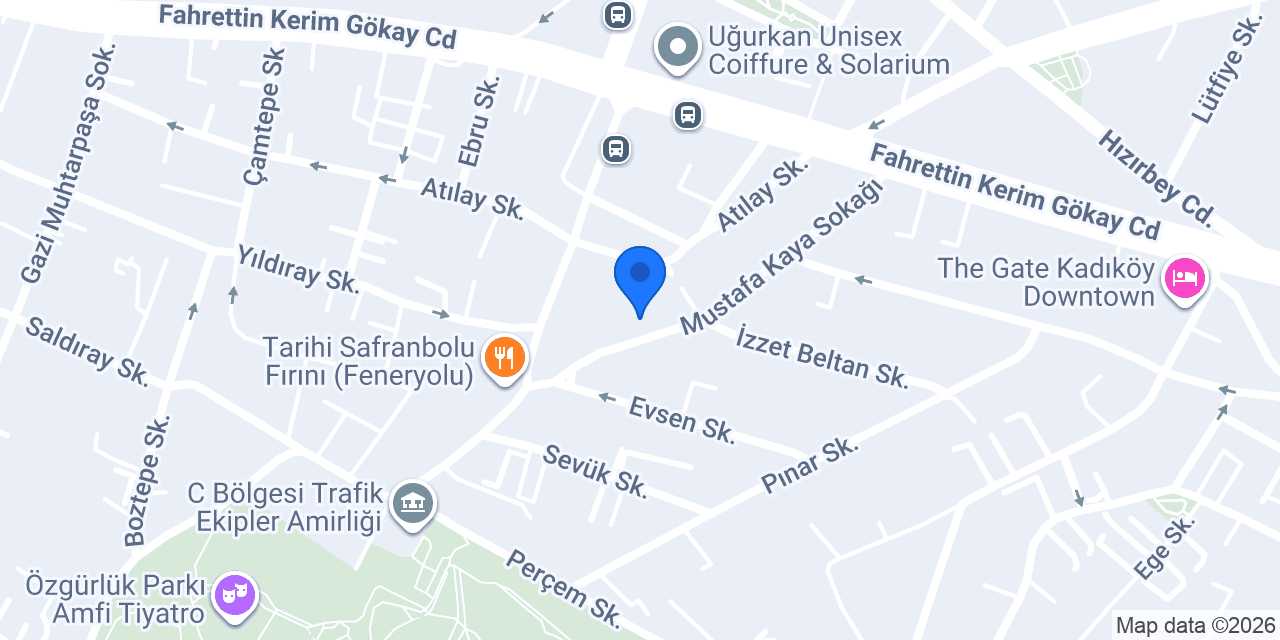 Bulut petshop konumu